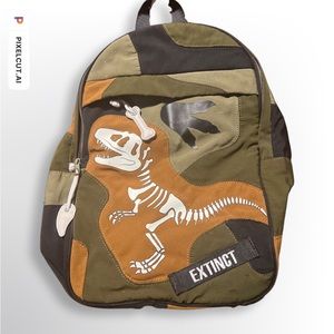 Zara Dinosaur Book Bag